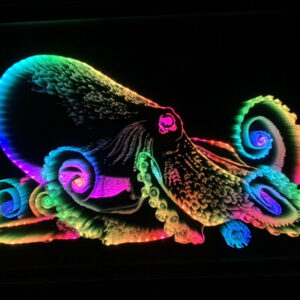 Octopus LED Infinity Mirror Wall Art